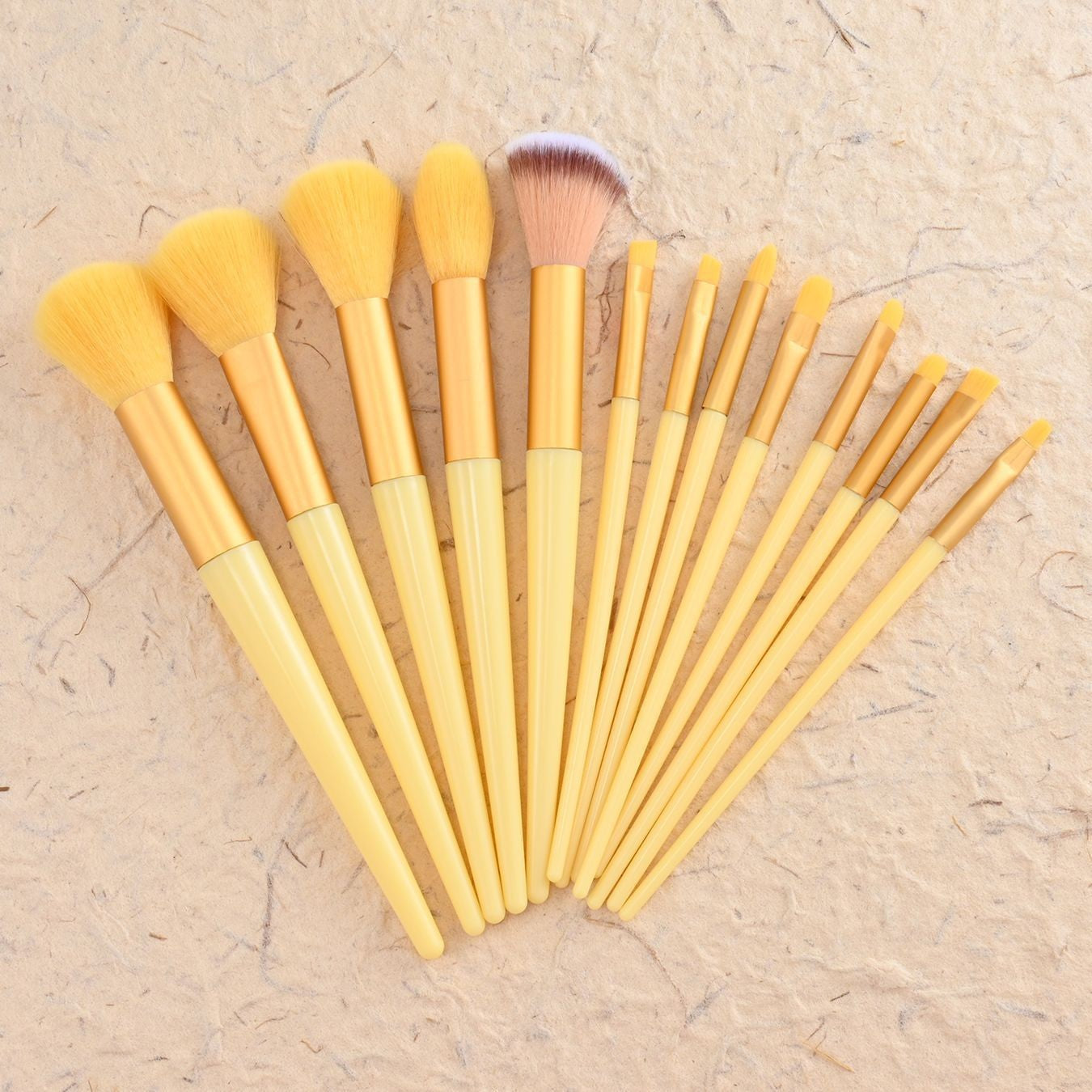 13- Brush Set: Eyeshadow Brushes and Blush BrushesPiece Makeup